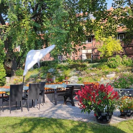 Apartment Im Gruenen Mit Anbindung Ans Zentrum Erfurt Esterno foto