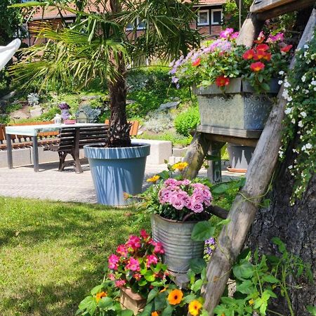 Apartment Im Gruenen Mit Anbindung Ans Zentrum Erfurt Esterno foto