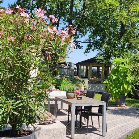 Apartment Im Gruenen Mit Anbindung Ans Zentrum Erfurt Esterno foto