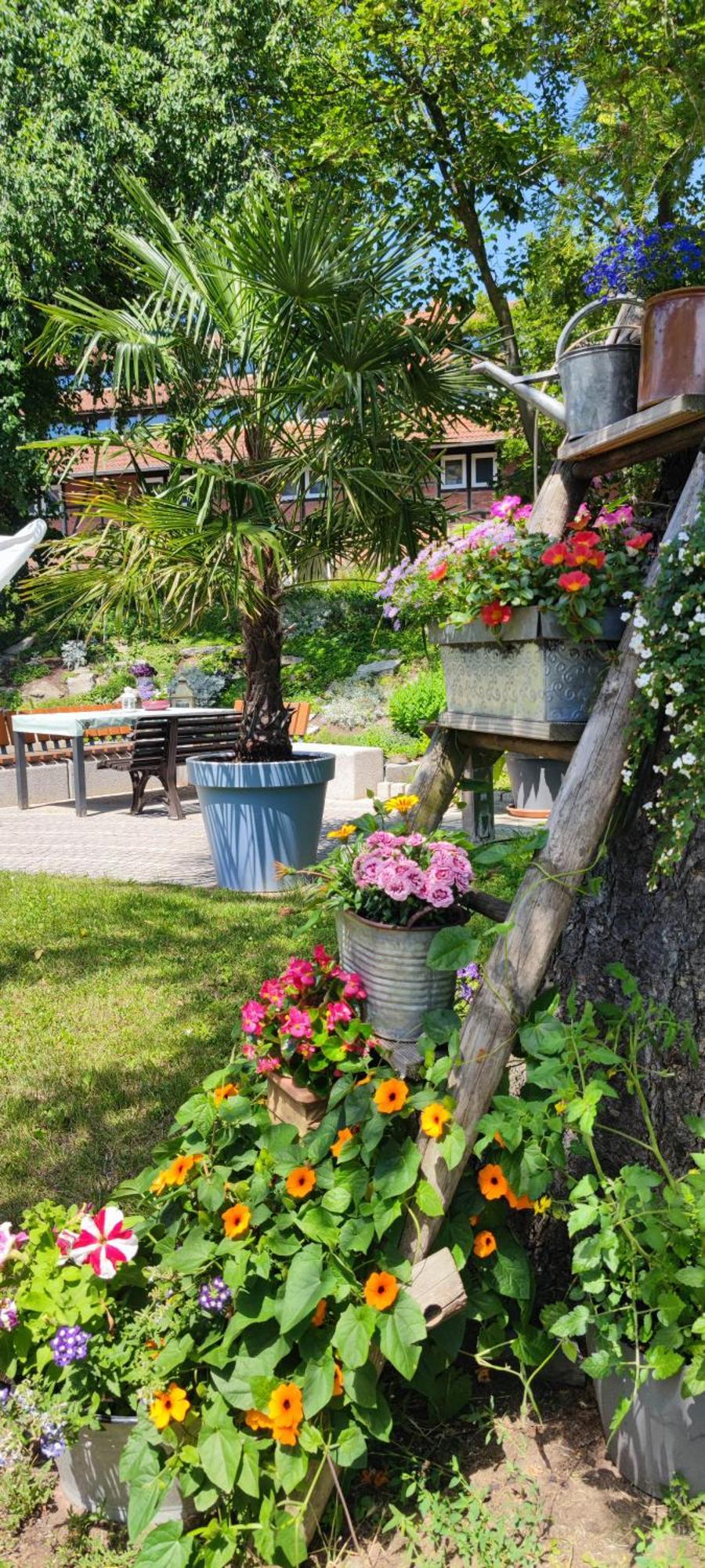 Apartment Im Gruenen Mit Anbindung Ans Zentrum Erfurt Esterno foto