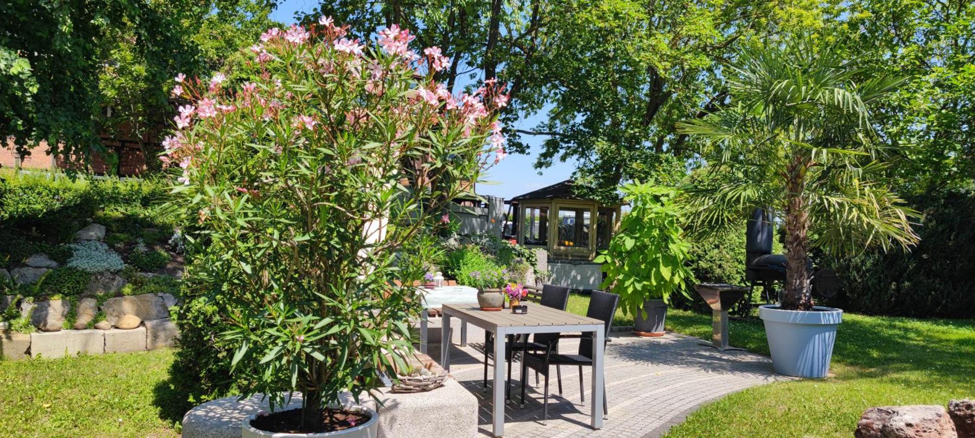 Apartment Im Gruenen Mit Anbindung Ans Zentrum Erfurt Esterno foto